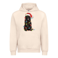 Sandshell christmas newfoundland dog Urban Hoodie - LillyAllenDesigns