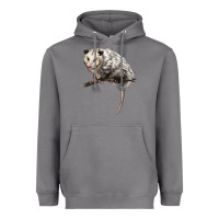 Storm opossum Heavyweight Hoodie - LillyAllenDesigns