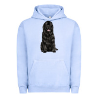 Pigment Grape Ice newfoundland dog Urban Hoodie - LillyAllenDesigns