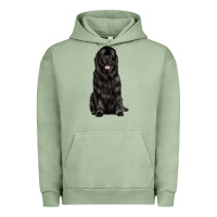 Pigment Oil Green newfoundland dog Urban Hoodie - LillyAllenDesigns