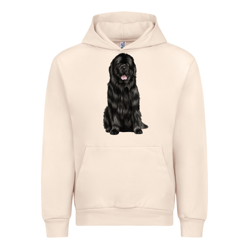 Newfoundland Dog Urban Hoodie by LillyAllenDesigns | Teevron