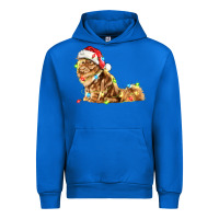 Cobalt christmas persian cat Urban Hoodie - LillyAllenDesigns
