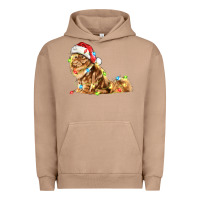 Pigment Burro christmas persian cat Urban Hoodie - LillyAllenDesigns