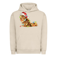 Pigment French Oak christmas persian cat Urban Hoodie - LillyAllenDesigns