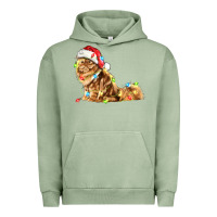 Pigment Oil Green christmas persian cat Urban Hoodie - LillyAllenDesigns