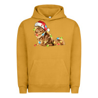 Pigment Peanut Butter christmas persian cat Urban Hoodie - LillyAllenDesigns