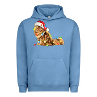 Pigment Pebble Blue christmas persian cat Urban Hoodie - LillyAllenDesigns