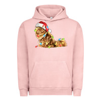 Pigment Salmon christmas persian cat Urban Hoodie - LillyAllenDesigns