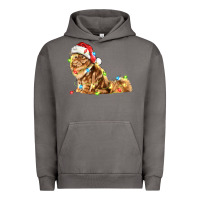 Pigment Tornado christmas persian cat Urban Hoodie - LillyAllenDesigns