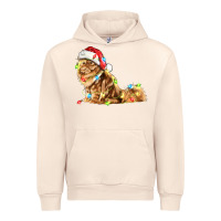 Sandshell christmas persian cat Urban Hoodie - LillyAllenDesigns