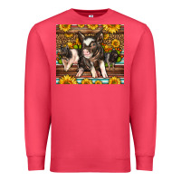 Cardinal Western Cute Hampshire Pigs Premium Sweatshirt - LillyAllenDesigns