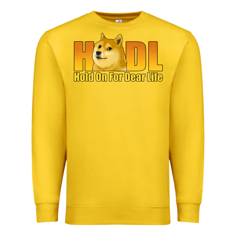 Hodl Hold On For Dear Life Dogecoin Premium Sweatshirt by Jasminsmagicworld | Teevron