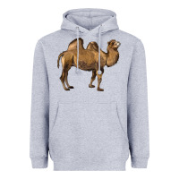 Heather Grey Camel Heavyweight Hoodie - LillyAllenDesigns