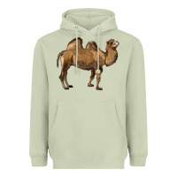 Matcha Camel Heavyweight Hoodie - LillyAllenDesigns
