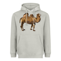 Moon Dust Camel Heavyweight Hoodie - LillyAllenDesigns