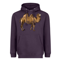 Plum Camel Heavyweight Hoodie - LillyAllenDesigns
