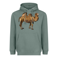 Sage Camel Heavyweight Hoodie - LillyAllenDesigns