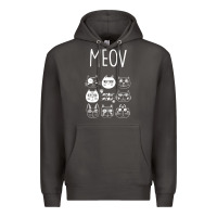 Smoke Meow Premium Hoodie - Bettercallsaul