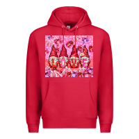 Cardinal love gnomies with gift boxes Premium Hoodie - NancyCooperArtShop
