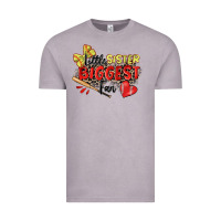 Vintage Zinc little sister biggest fan softball Vintage Tee - Zillion Design Studio