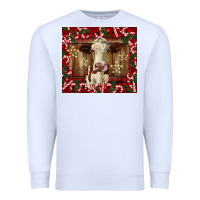White christmas heifer with candy canes Premium Sweatshirt - BarkalooDesign