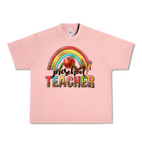 Salmon preschool teacher Urban Heavy Tee - texasbilliewilder