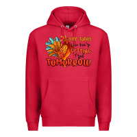 Cardinal live today like you're getting fried tomorrow Premium Hoodie - MaliasSmallBusiness