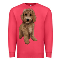 Cardinal maltipoo Premium Sweatshirt - BarkalooDesign