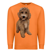 Carrot maltipoo Premium Sweatshirt - BarkalooDesign