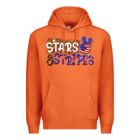 Carrot stars and stripes Premium Hoodie - NancyCooperArtShop