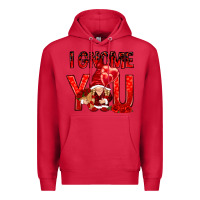 Cardinal i gnome you with roses Premium Hoodie - NancyCooperArtShop