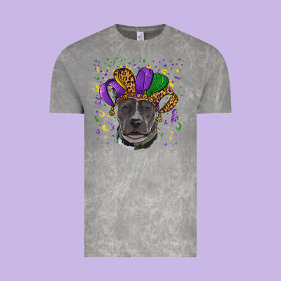 Vintage Tee Mardi Gras Pitbull with Hat