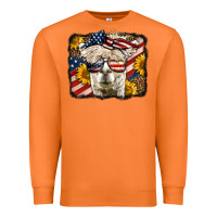 Carrot 4th of july llama Premium Sweatshirt - LillyAllenDesigns