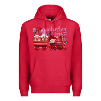 Cardinal valentines express with gnomies Premium Hoodie - NancyCooperArtShop
