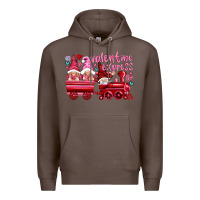 Coffee valentines express with gnomies Premium Hoodie - NancyCooperArtShop