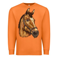Carrot horse Premium Sweatshirt - BarkalooDesign