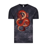 Cloud Black red dragon Vintage Tee - RanaPortraitStore