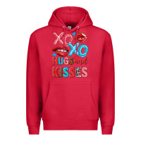 Cardinal xo xo hugs and kisses Premium Hoodie - NancyCooperArtShop