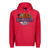 Cardinal small town big spirit basketball Premium Hoodie - NancyCooperArtShop