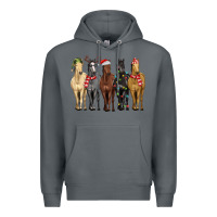 Rock horses with christmas Premium Hoodie - MaliasSmallBusiness