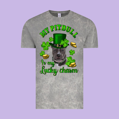 Vintage Tee St. Patrick's Day My Pitbull Is My Lucky Charm With Hat