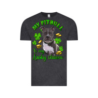 Vintage Black St. Patrick's Day My Pitbull Is My Lucky Charm Vintage Tee - RanaPortraitStore