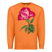 Carrot Love At First Sight Rose Premium Sweatshirt - LillyAllenDesigns