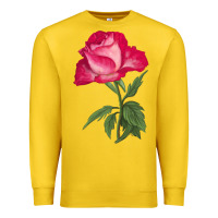 Lemon Love At First Sight Rose Premium Sweatshirt - LillyAllenDesigns
