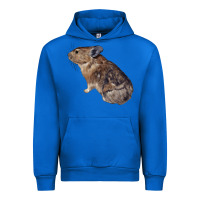 Cobalt pika Urban Hoodie - LillyAllenDesigns