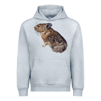 Heather Grey pika Urban Hoodie - LillyAllenDesigns