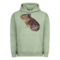 Pigment Oil Green pika Urban Hoodie - LillyAllenDesigns