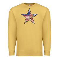 Antique Gold American Flag Star Premium Sweatshirt - LillyAllenDesigns