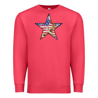 Cardinal American Flag Star Premium Sweatshirt - LillyAllenDesigns