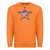 Carrot American Flag Star Premium Sweatshirt - LillyAllenDesigns